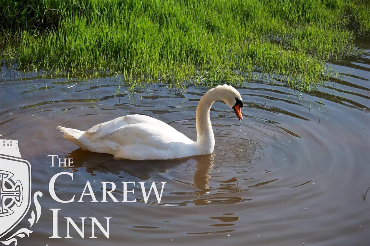 Carew Inn Exteriér fotografie